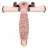 Trotineta PM TROTINETA LIONELO FRANKY PINK ROSE