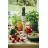 Blender ADLER AD 4628, Inox, (1900 W)