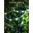 
Умный наружный светильник GOVEE RGBICWW OUTDOOR STRIP LIGHT PRO 10M, Wi-Fi + BT, App, Multicolor + 2 Extra White LEDs, DIY Mode, Timer + Schedule, Music Modes, Waterproof - Strip Light: IP65; Control Box: IP65; Adapter: IP44, Voice Control, No Hub Requir