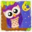 Puzzle Akuku PUZZLE  OWL