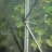 Sera Demetra PROFESIONALA ITALIA, 54M2, 12-4.5-2.5M 150 MCR, UV