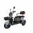 Bicicleta electrica Weter TRICICLETA ELECTRICA  1000 IN