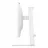Monitor PHILIPS 27" Evnia 27M2N3501PA, White, IPS, 2560x1440, 260Hz, 0.3ms, MBR, 300cd, HDR10, HDMI+DP, Spkrs, Pivot, Diagonala ecranului: 27" Rezoluția Display-ului: 2560x1440 WQHD, Tip panou: IPS, Rata maximă de reîmprospătare: 260 Hz, Timp de răspuns: 0.3 ms MPRT