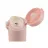 Termos Aichiw Aichiw Thermos Mug AI-D97C 300 ML, Pink
