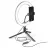 Trepied Proove Tripod cu Lampa Circulara Cellularline Selfie Ring Multicolor RGB 10", Black