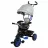 Bicicleta pentru copii Caretero Tricicleta Caretero BUZZ NAVY TOYZ-0331