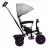 Детский велосипед Caretero Tricicleta Caretero BUZZ PURPLE TOYZ-0332