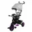Детский велосипед Caretero Tricicleta Caretero BUZZ PURPLE TOYZ-0332