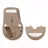 Mouse ASUS Wireless Mouse Asus SmartO MD200, up to 4200dpi, 6 buttons, Carrying Loop, 85g. 1xAA, 2.4/BT, Beige