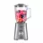 Blender POLARIS Blender Polaris PTB1037G Graphite