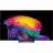 Televizor LG 77" OLED SMART TV LG OLED77C64LA, Perfect Black, 4K UHD, webOS, Black