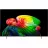 Телевизор LG 65" OLED SMART TV LG OLED65B65LA, 3840x2160 4K UHD, webOS, Negru