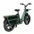 Электрический велосипед Fiido Bicicletă Electrică Fiido T2, Verde