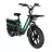 Электрический велосипед Fiido Bicicletă Electrică Fiido T2, Verde