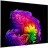 Televizor LG 77" OLED SMART TV LG OLED77G64LW, 3840x2160 4K UHD, webOS, Negru