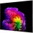 Televizor LG 77" OLED SMART TV LG OLED77G64LW, 3840x2160 4K UHD, webOS, Negru