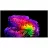 Televizor LG Телевизор OLED 77" Smart LG OLED77B65LA