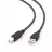 Cablu USB GEMBIRD CCF-USB2-AMBM-10, A,  B-plug,  3.0m